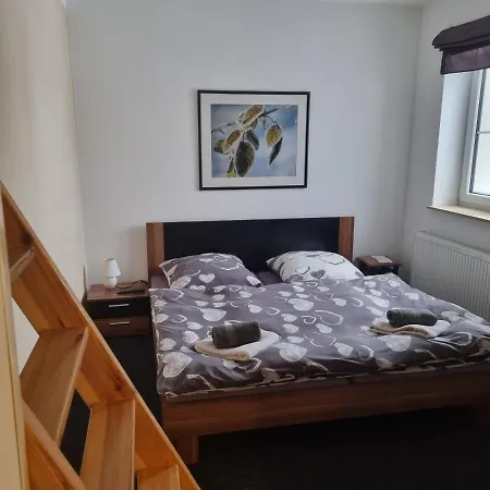 Penzion Max Klinovec Loučná pod Klínovcem