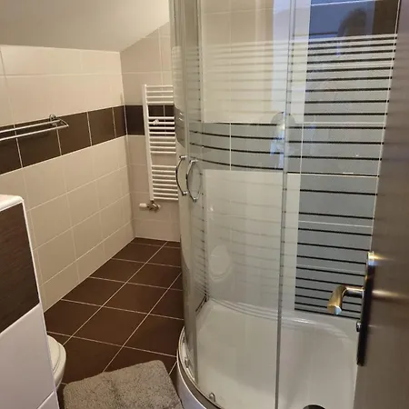 Casa de hóspedes Max Klínovec